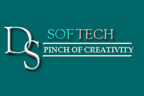 Visit Dssoftech (web design company)