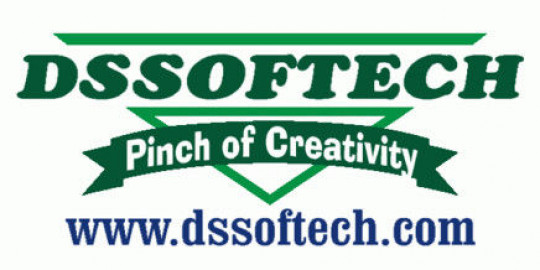 Visit dssoftech (web design company in new york)