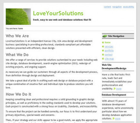 Visit LoveYourSolutions.com