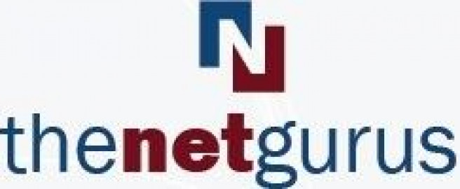 Visit The Net Gurus
