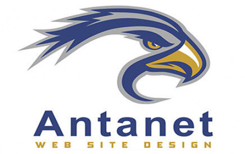 Visit Antanet Web Services