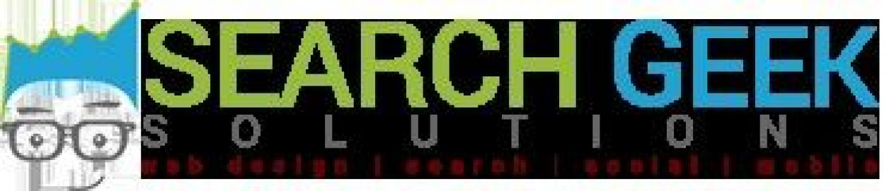 Visit Search Geek Solutions