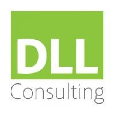 Visit DLL Consulting LLC