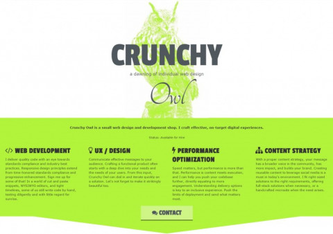 Visit Crunchy Owl Design Studio