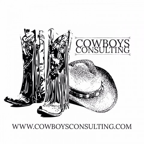 Visit Cowboys Consulting