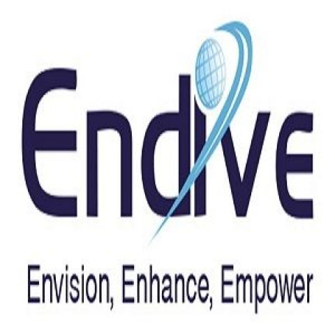 Visit Endive Software Pvt Ltd
