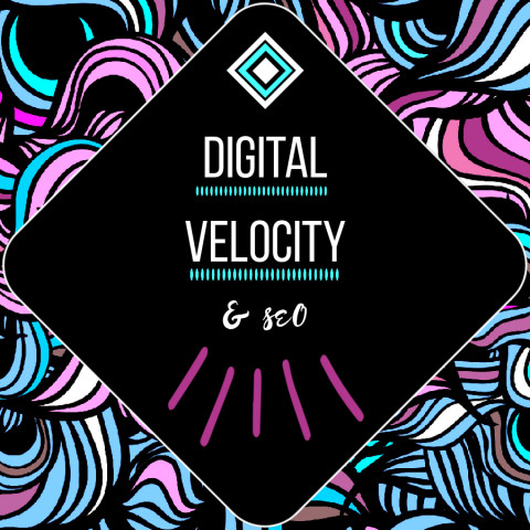 Visit Team Digital Velocity