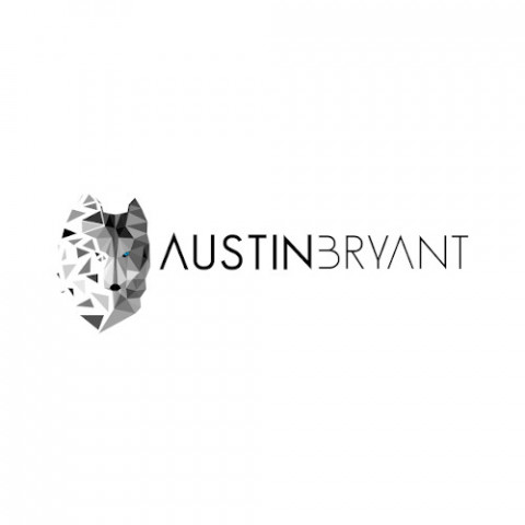 Visit Austin Bryant Consulting
