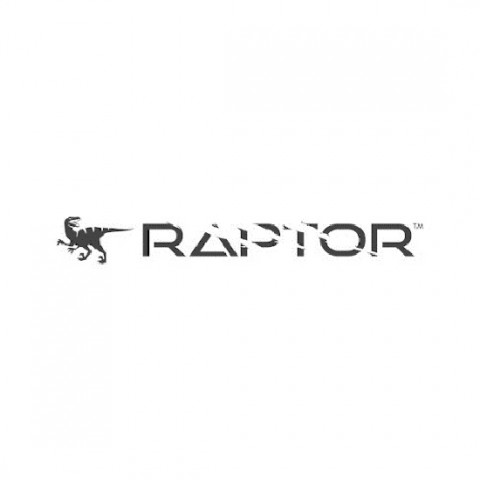 Visit Raptor Digital Marketing