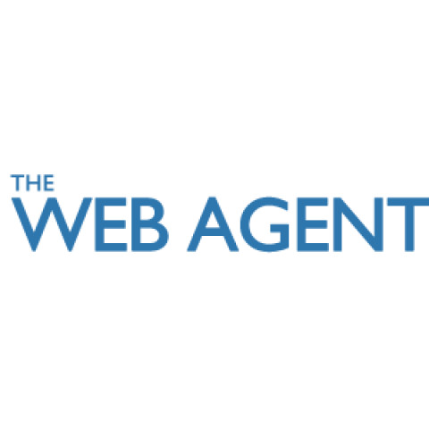 Visit The Web Agent